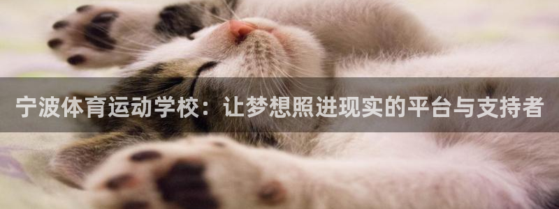 宁波体育运动学校：让梦想照进现实的平台与支持者