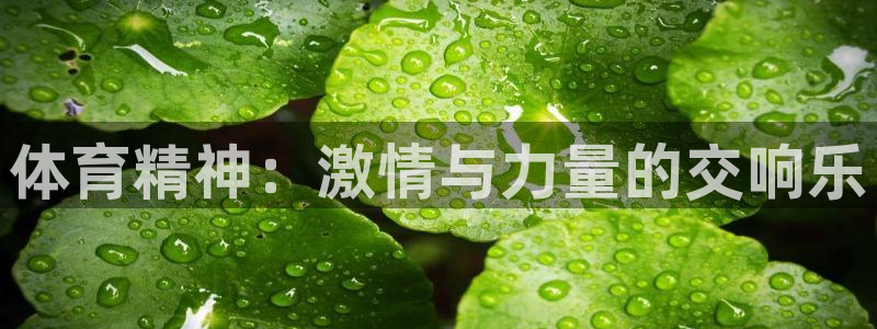 新闻图片
